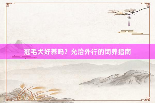冠毛犬好养吗？允洽外行的饲养指南
